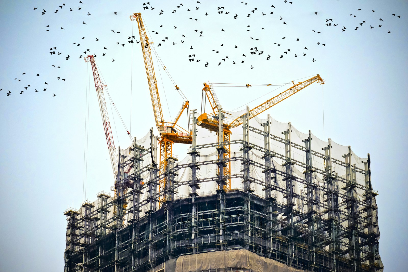 Grues et structure d'un bâtiment en construction